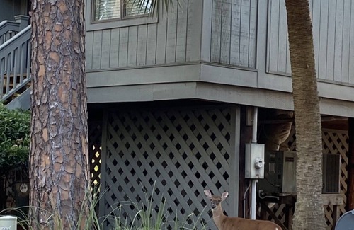 West Beach Cottage | BEST LAGOON LOCATION! WALK TO BEACH! FREE POOL!