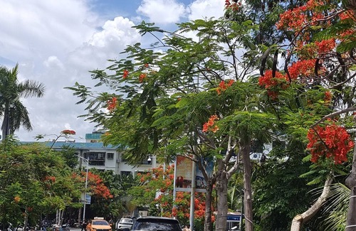 Sanya Apartment | Best location Apartment in Sanya! Forests and ocean around!