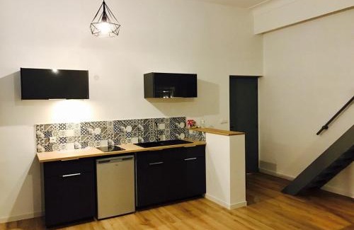 Dobree-Bon Port Apartment | Best location near Place Graslin, elephant - up to 4 people - City Nantes