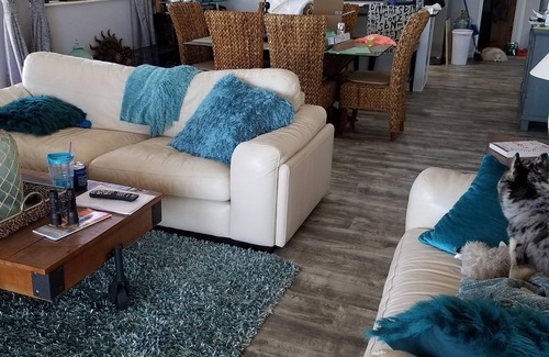 Bahamas Terrace Condo | Best ocean view on the island , Ocean Front Property