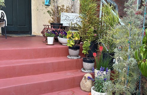 South Redondo House | Best of Redondo Beach - Fabulous Full Unit, Amazing location, 100% walkable!
