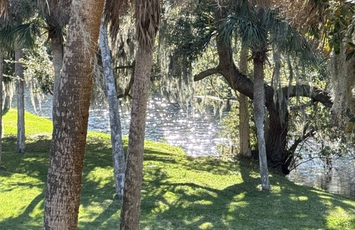 Shipyard Plantation House | Best on island! Shipyard Beach & Golf Adjacent, Lagoon Front,Bikes Beach chairs!