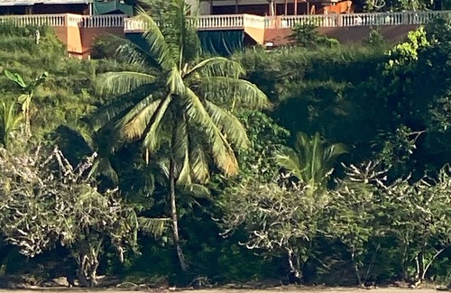 Drake Bay House | Best Place in Drake