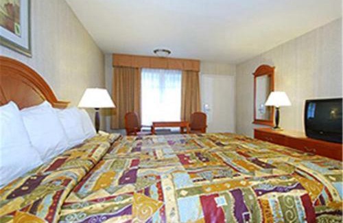 Inglewood Hotel | Best Western Airport Plaza Inn Hotel - Los Angeles LAX