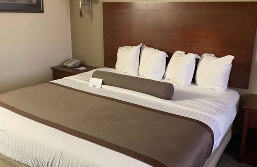 Ehrenberg Hotel | Best Western Desert Oasis