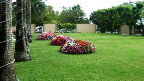 Los Mochis Hotel | Best Western PLUS Los Mochis