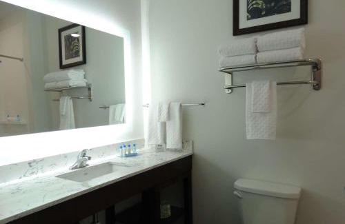 New Richmond Hotel | Best Western Plus New Richmond Inn & Suites