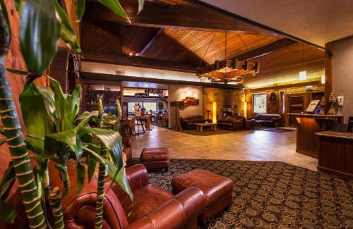 Mount Shasta Hotel | Best Western Plus Tree House