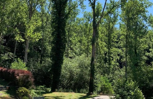Rignac House | Between Rodez & Albi detached house isolated and quiet up to 11 beds