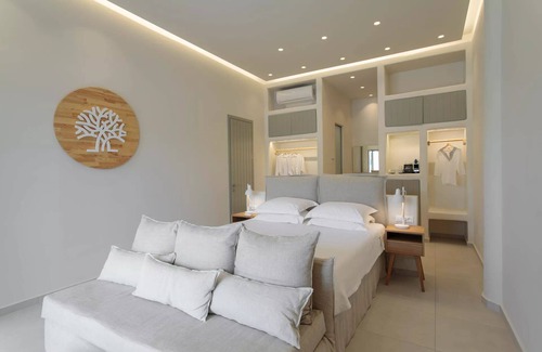 Agios Prokopios Apartment | BH212 - C - Suite Naxos