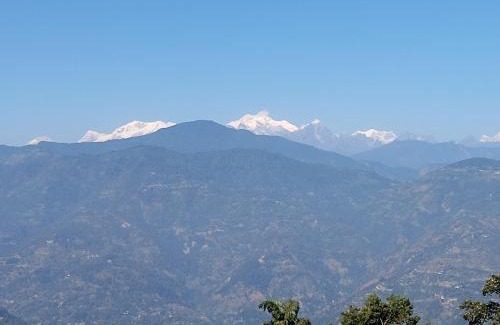 Turuk Bed & Breakfast | Bheriwal's B&B