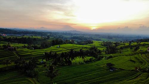 Penebel Bed & Breakfast | Bhuana Agung Villa and Restaurant