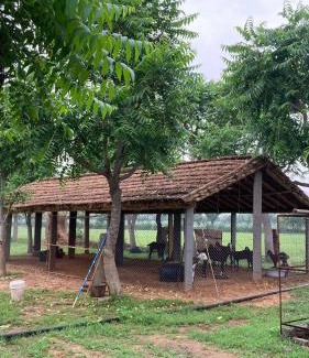 Nawa House | Bhumii Trials