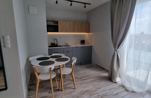 Srodmiescie Apartment | Biała Kamienica 54- Piotrkowska, Manufaktura, ZOO, prywatny parking