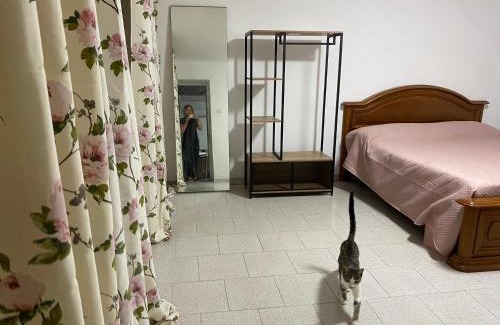 Quartiere XXIV Don Bosco House | biancaneve i suoi nani
