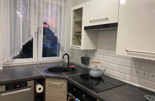 Bielawa Apartment | Bielawa Góry Sowie