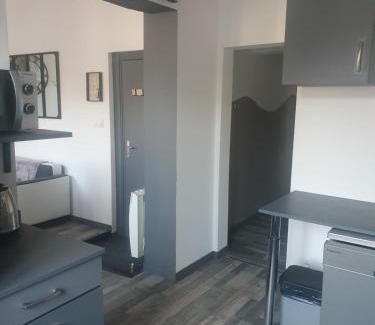 La Bourboule Apartment | Bienvenue chez les ch'oups le loft 50 m2