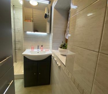 Saint-Dalmas-le-Selvage Apartment | Bienvenue