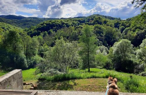 Biert Bed & Breakfast | Biert La Coume