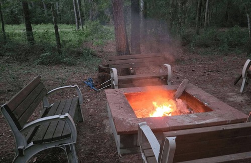 Navasota Cabin | Big Beautiful Cabin amongst Towering Pines