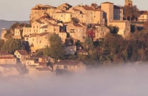 Cahuzac-sur-Vere House | BIG HOUSE - QUIET - GARDEN