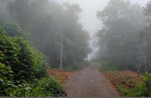 Thalassery Cabin | BiG INN Resort