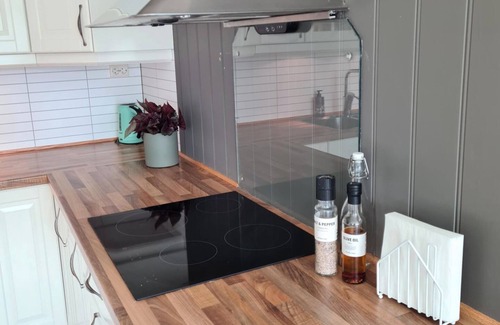 Tromso Apartment | Big Luxury auroraapartment in Tromso& parking