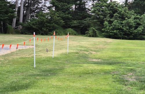 Kelso Resort | BIG4 Kelso Sands Holiday & Native Wildlife Park