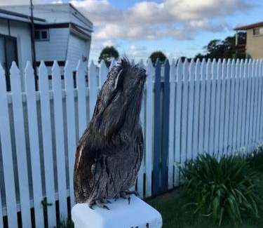 Kelso Resort | BIG4 Kelso Sands Holiday & Native Wildlife Park