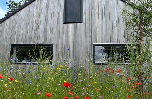 Appelscha House | Bij De Kei Appelscha