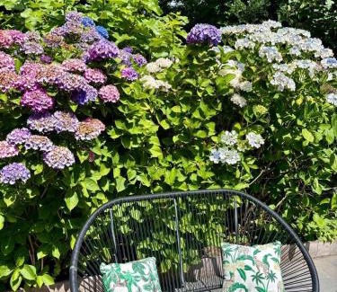 Municipality of Den Helder Bed & Breakfast | Bij Julia