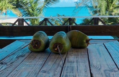 George Town Villa | BIKINI BOTTOM VILLA - Beach Front