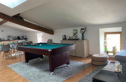 Socourt Apartment | Billard Lounge loft détente avec Billard & Netflix by BoookingFuté