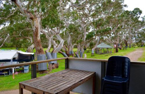 Cape Otway Resort | Bimbi Park - Camping Under Koalas