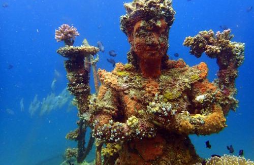 Pemuteran House | Biorock Homestay & Dive Center Pemuteran