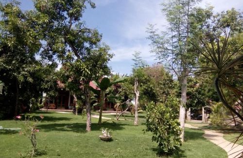 Pemuteran House | Biorock Homestay & Dive Center Pemuteran