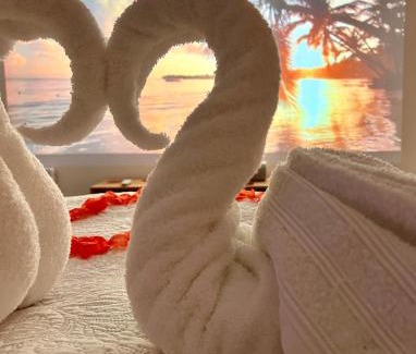 Le Blanc-Mesnil Bed & Breakfast | BIOTY CHILL & SPA