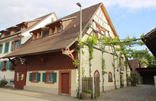 Efringen-Kirchen Apartment | Bioweingut und Ferienwohnung Kaufmann