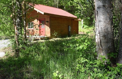 Talkeetna Cabin | Birch Cabin