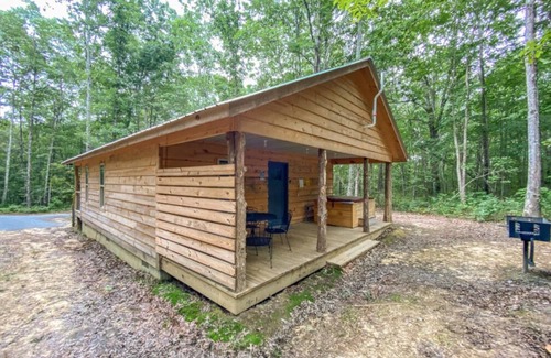 Fort Payne House | Bird House! Cozy cabin in the woods! With hot tub!