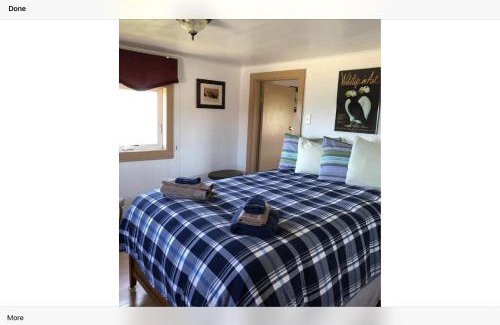 Elliston Bed & Breakfast | Bird Island Accommodations Elliston