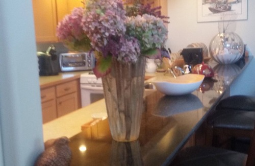 Port Townsend Cottage | Bird Nest Cottage near Fort Worden