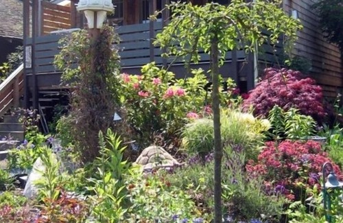 Port Townsend Cottage | Bird Nest Cottage near Fort Worden