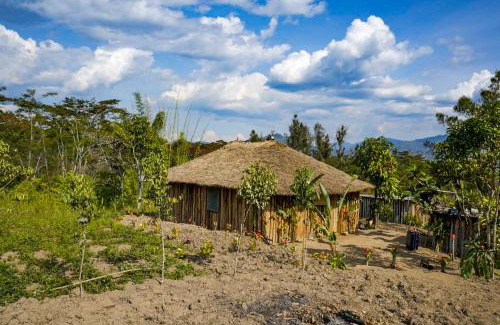 Highlands Region House | Bird of Paradise ECO Lodge