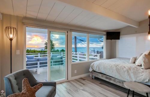 La Jolla House | Bird Rock Dreams - Ocean Views, Massive Yard, Outdoor Dining, Fast Wifi & AC!
