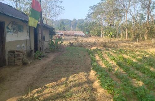 Chitwan District Other | Bird Sanctuary Farm House
