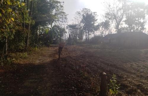 Chitwan District Other | Bird Sanctuary Farm House
