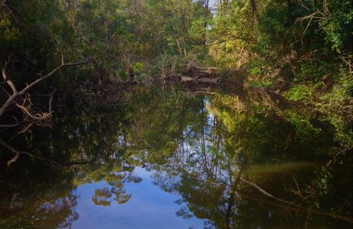 Cabbage Tree Creek Bed & Breakfast | Bird Songs Getaway Accommodation