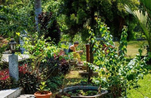 Devikolam Hotel | Birds Island Ayur-Yoga Retreat