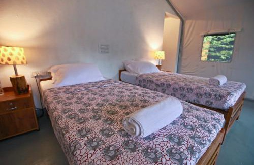 Devikolam House | Birds Murmur glamp